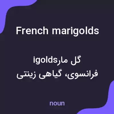 معنی french marigolds به فارسی معنی french marigolds به فارسی
