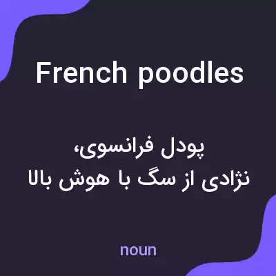 معنی french poodles به فارسی معنی french poodles به فارسی