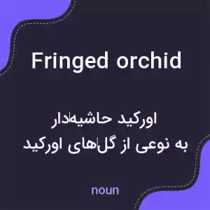 معنی fringed orchid به فارسی معنی fringed orchid به فارسی