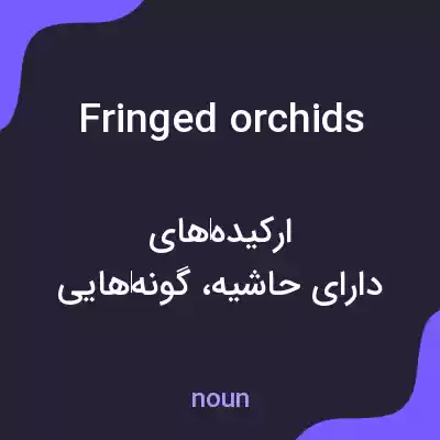 معنی fringed orchids به فارسی