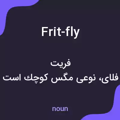 معنی frit-fly به فارسی معنی frit-fly به فارسی