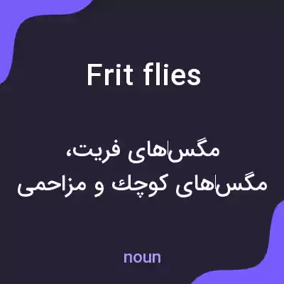 معنی frit flies به فارسی معنی frit flies به فارسی