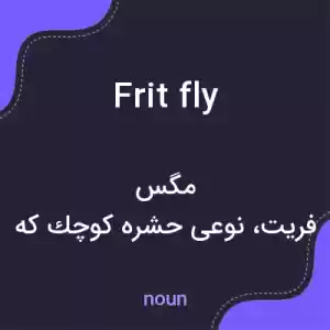 معنی frit fly به فارسی معنی frit fly به فارسی