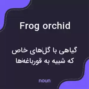 معنی frog orchid به فارسی معنی frog orchid به فارسی
