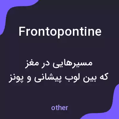 معنی frontopontine به فارسی