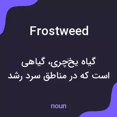 معنی frostweed به فارسی