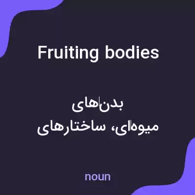 معنی fruiting bodies به فارسی معنی fruiting bodies به فارسی
