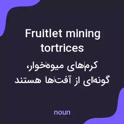 معنی fruitlet mining tortrices به فارسی معنی fruitlet mining tortrices به فارسی