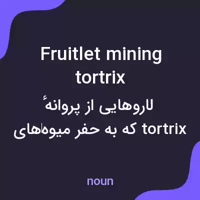 معنی fruitlet mining tortrix به فارسی معنی fruitlet mining tortrix به فارسی