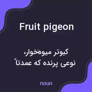 معنی fruit pigeon به فارسی معنی fruit pigeon به فارسی