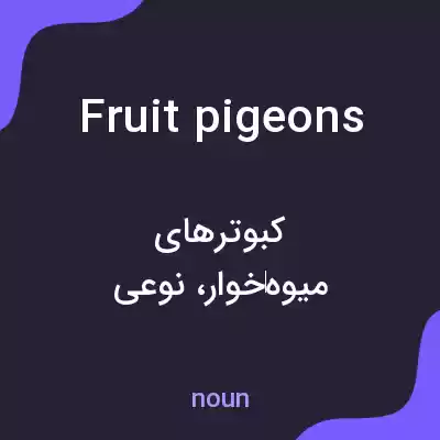 معنی fruit pigeons به فارسی