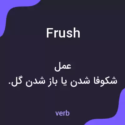 معنی frush به فارسی معنی frush به فارسی