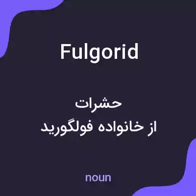معنی fulgorid به فارسی معنی fulgorid به فارسی