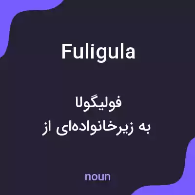 معنی fuligula به فارسی معنی fuligula به فارسی