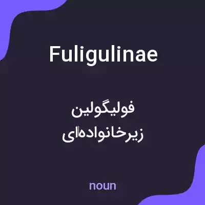 معنی fuligulinae به فارسی معنی fuligulinae به فارسی
