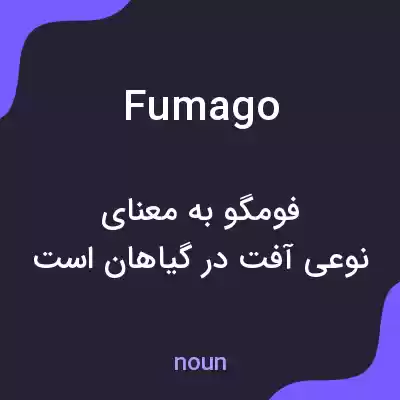 معنی fumago به فارسی معنی fumago به فارسی