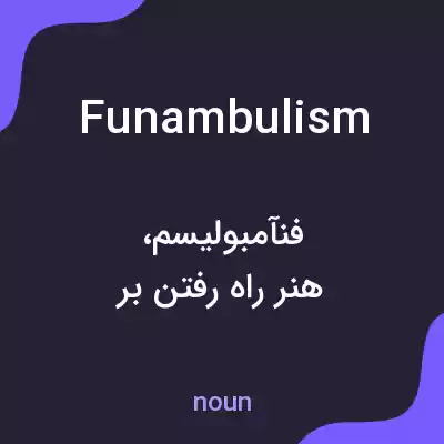 معنی funambulism به فارسی معنی funambulism به فارسی