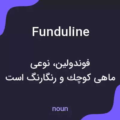 معنی funduline به فارسی معنی funduline به فارسی