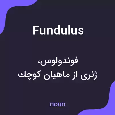 معنی fundulus به فارسی معنی fundulus به فارسی