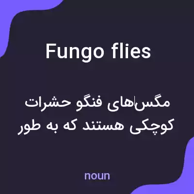 معنی fungo flies به فارسی معنی fungo flies به فارسی