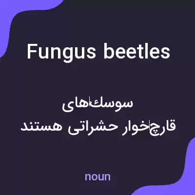 معنی fungus beetles به فارسی معنی fungus beetles به فارسی