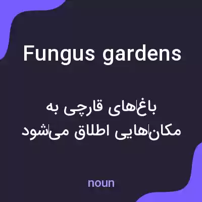 معنی fungus gardens به فارسی معنی fungus gardens به فارسی