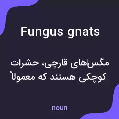 معنی fungus gnats به فارسی معنی fungus gnats به فارسی