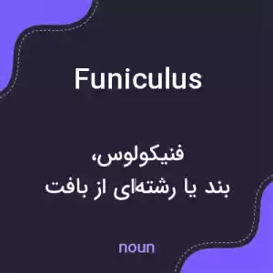 معنی funiculus به فارسی معنی funiculus به فارسی