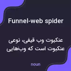 معنی funnel-web spider به فارسی