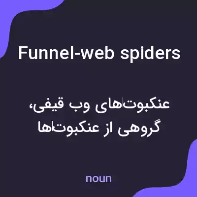 معنی funnel-web spiders به فارسی معنی funnel-web spiders به فارسی