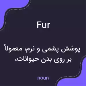 معنی fur به فارسی معنی fur به فارسی