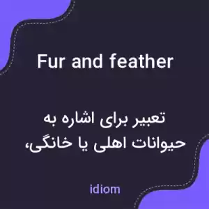 معنی fur and feather به فارسی معنی fur and feather به فارسی