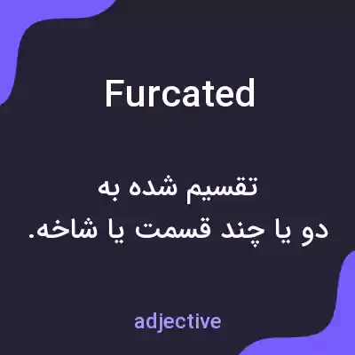 معنی furcated به فارسی معنی furcated به فارسی