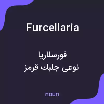 معنی furcellaria به فارسی معنی furcellaria به فارسی