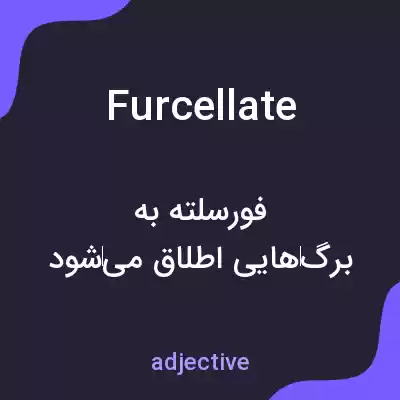معنی furcellate به فارسی معنی furcellate به فارسی