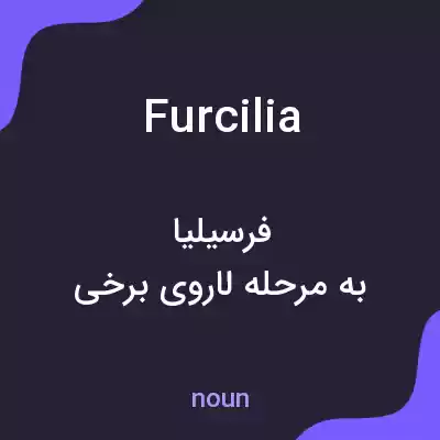 معنی furcilia به فارسی معنی furcilia به فارسی