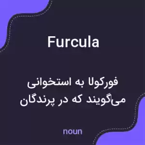 معنی furcula به فارسی معنی furcula به فارسی