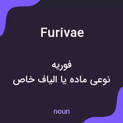 معنی furivae به فارسی معنی furivae به فارسی