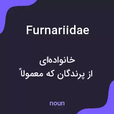 معنی furnariidae به فارسی معنی furnariidae به فارسی