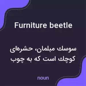 معنی furniture beetle به فارسی معنی furniture beetle به فارسی
