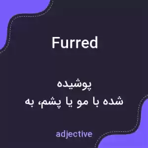معنی furred به فارسی معنی furred به فارسی