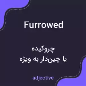 معنی furrowed به فارسی معنی furrowed به فارسی