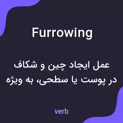 معنی furrowing به فارسی معنی furrowing به فارسی