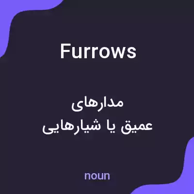 معنی furrows به فارسی معنی furrows به فارسی