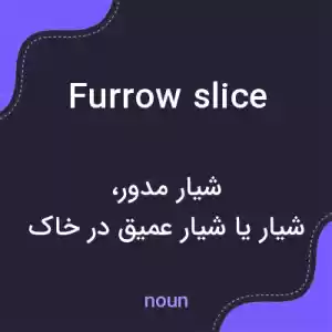معنی furrow slice به فارسی معنی furrow slice به فارسی