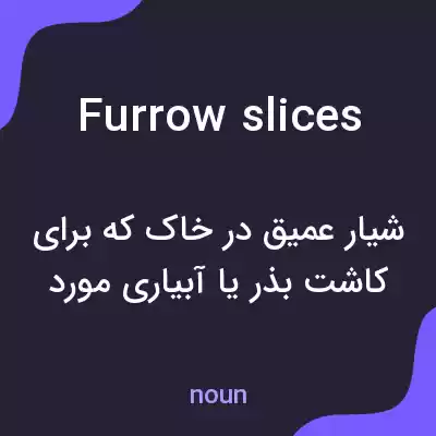 معنی furrow slices به فارسی معنی furrow slices به فارسی