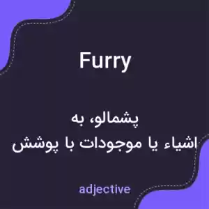 معنی furry به فارسی معنی furry به فارسی