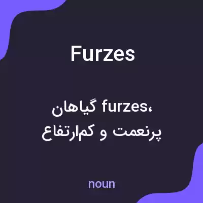 معنی furzes به فارسی معنی furzes به فارسی