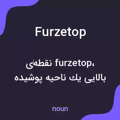 معنی furzetop به فارسی معنی furzetop به فارسی