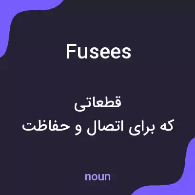 معنی fusees به فارسی معنی fusees به فارسی